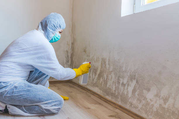 Bathroom Mold Removal assessment in Hampton bathroom