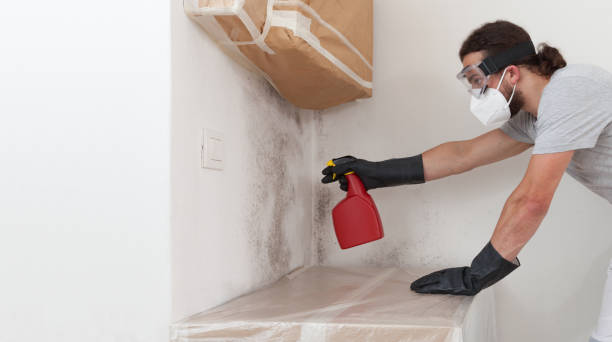 Attic Mold Remediation treatment on roof deck in Hampton